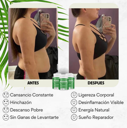 DUO MORINGA 100% PURA🍃+ ENVÍO GRATIS A GUATEMALA 🇬🇹.