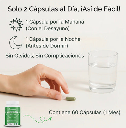 DUO MORINGA 100% PURA🍃+ ENVÍO GRATIS A GUATEMALA 🇬🇹.