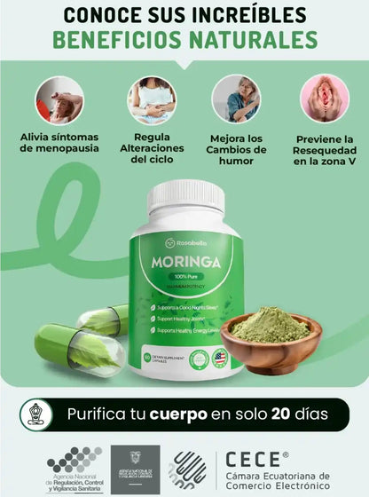 DUO MORINGA 100% PURA🍃+ ENVÍO GRATIS A GUATEMALA 🇬🇹.